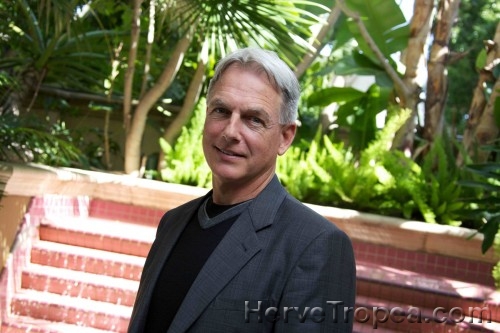 Mark-HarmonLR